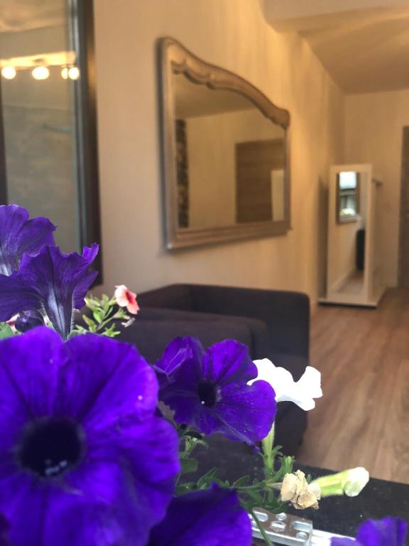 Fotografie z fotogalerie ubytování VIP 67 v destinaci Eupen
