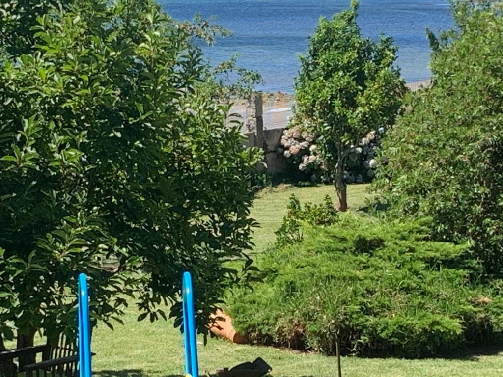 Zahrada ubytování Casa Mavimar Playa