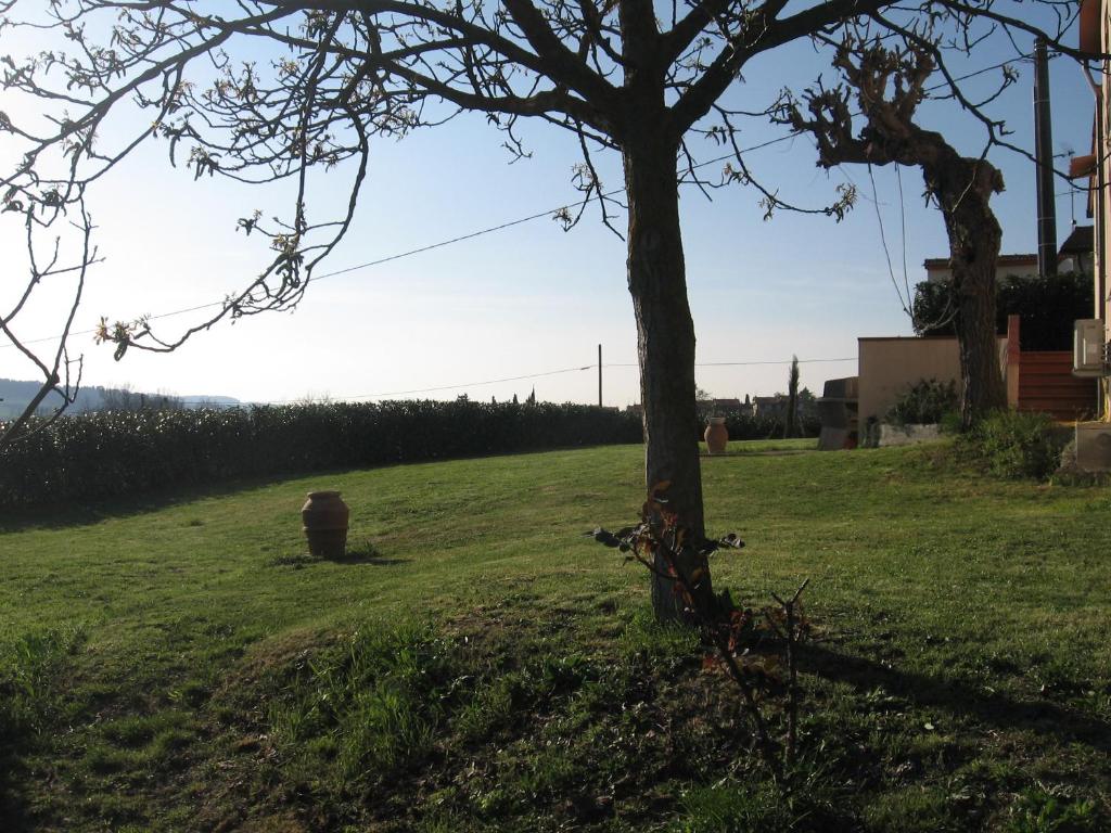 a tree in the middle of a field next to a house at Agriturismo Le Caselle in Cerbaia