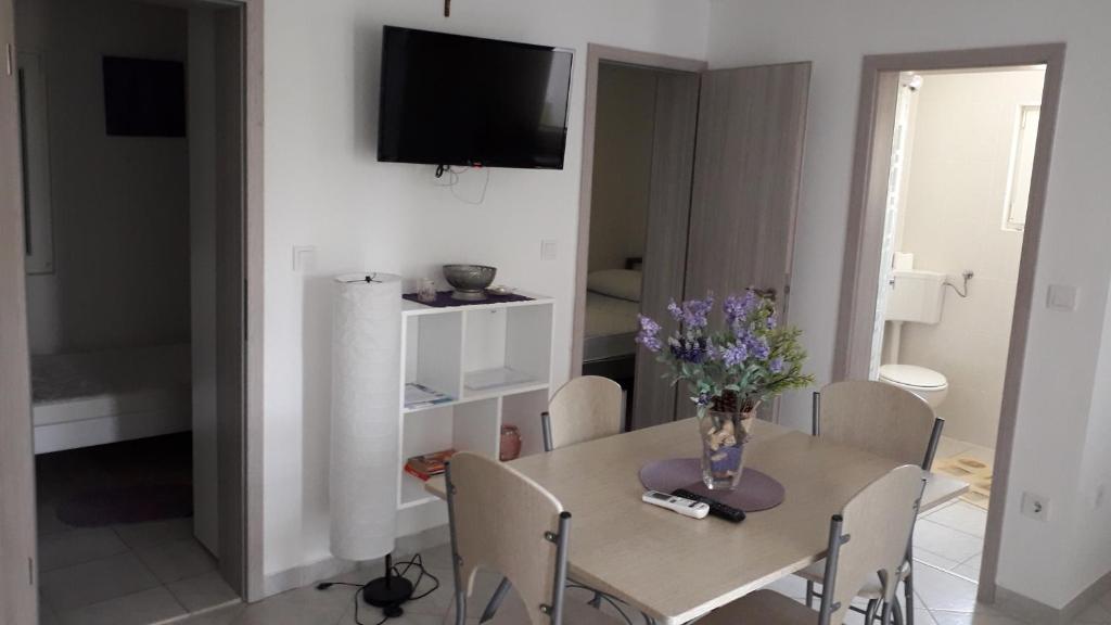 TV a/nebo společenská místnost v ubytování Apartmani Vila Dadić