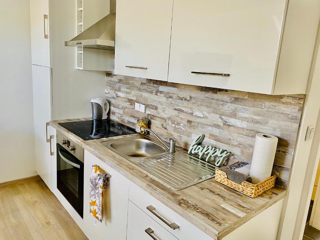 eine Küche mit einer Spüle und einer Arbeitsplatte in der Unterkunft Cozy flat near Moselle Remich in Remich