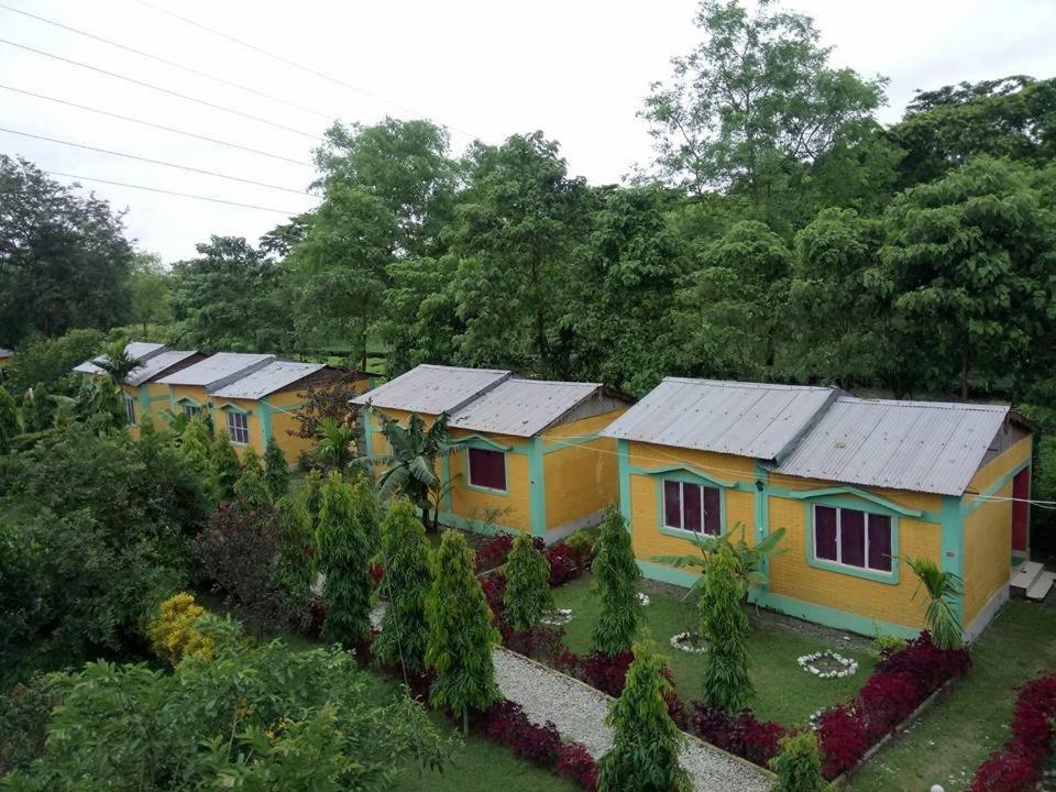 a row of houses with solar panels on them at Mystic resort amidst Tea Garden in Mādāri Hāt