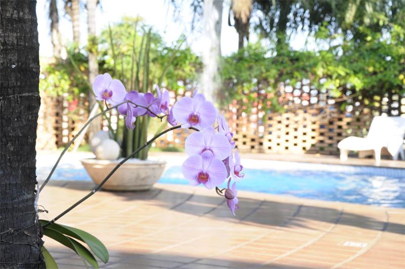  Vila Romana Park Hotel