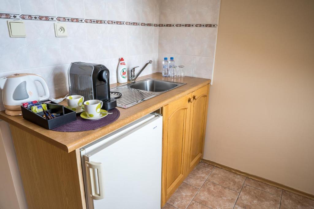 Kuchyň nebo kuchyňský kout v ubytování Hotel U Labutě
