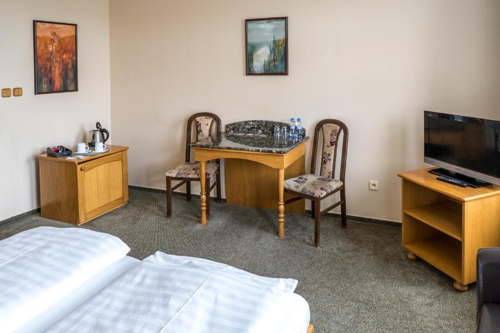 TV a/nebo společenská místnost v ubytování Hotel U Labutě