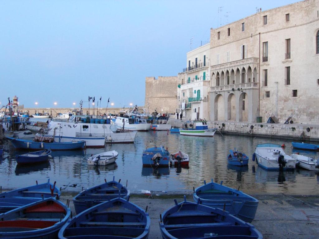 un groupe de bateaux amarrés dans un port à côté des bâtiments dans l'établissement ZEUS, à Monopoli