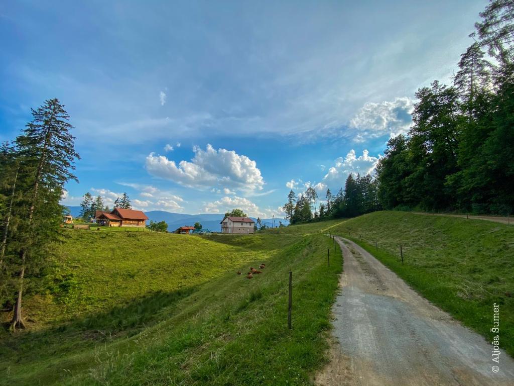 Příroda nedaleko apartmánu