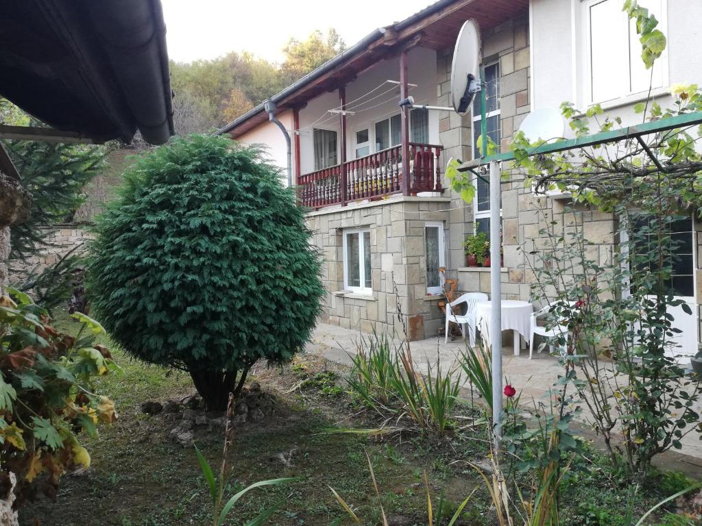 a house with a small tree in front of it at Сара in Gabrovo