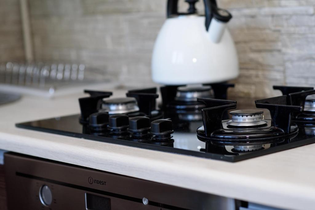 Apartament Saski - 8