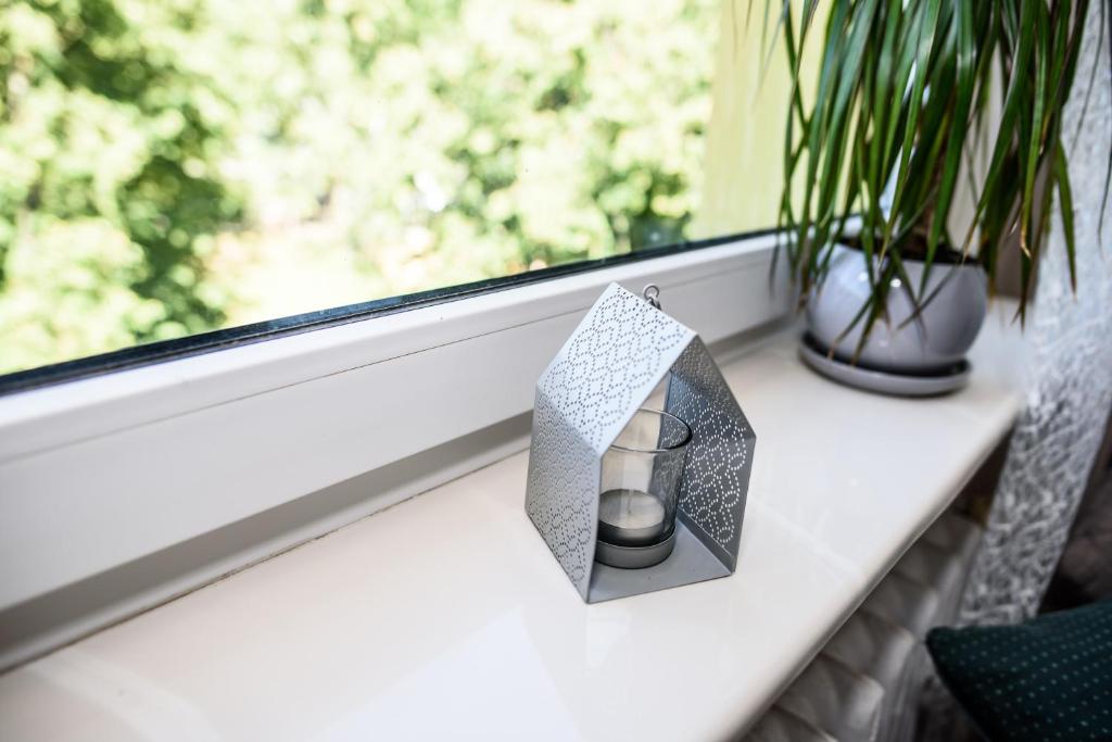 Apartament Saski - 1