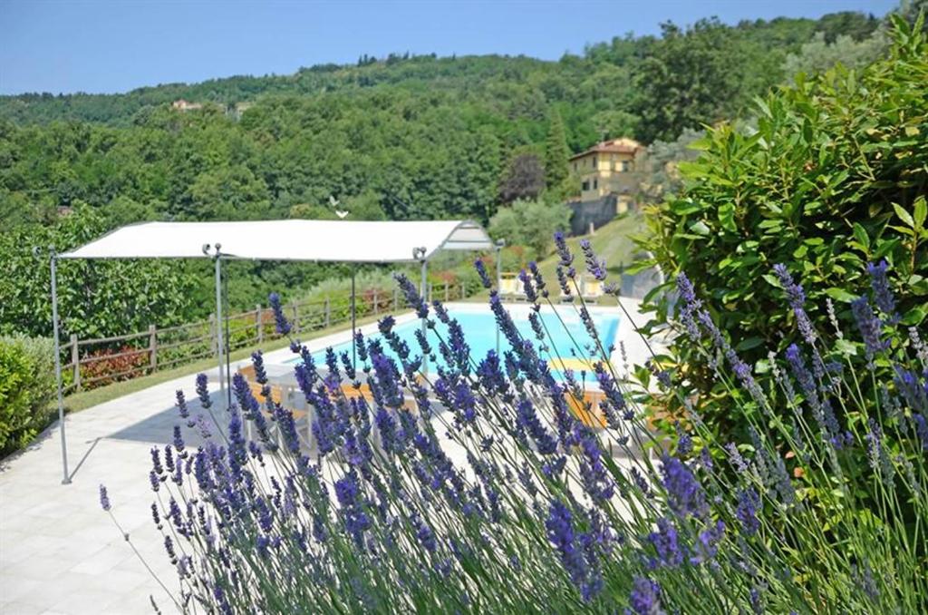 een zwembad met een witte luifel en paarse bloemen bij Villa Mario, piscina privata,aria cond,immersa nel verde,campagna Toscana in Pistoia