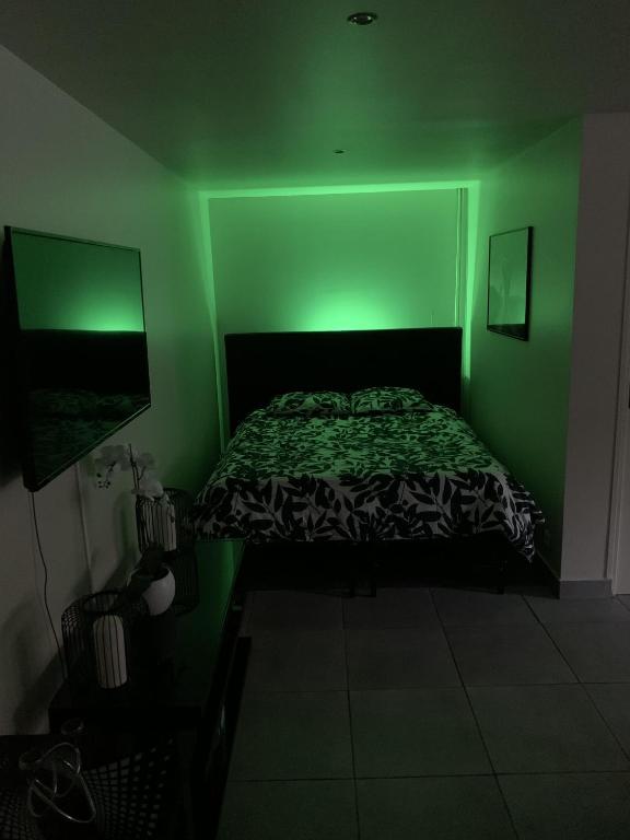 a green room with a bed and a green light at Appartement cosy proche Roissy CDG Astérix DisneyLand Paris in Goussainville