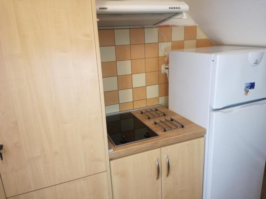 A kitchen or kitchenette at Apartmány Lenko - near thermal aquapark Tatralandia