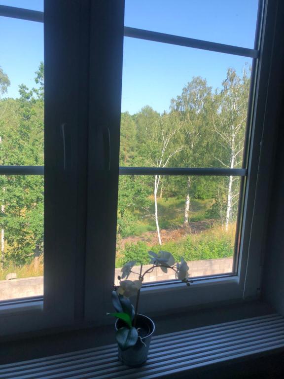 Zahrada ubytování Staby Gårdshotell