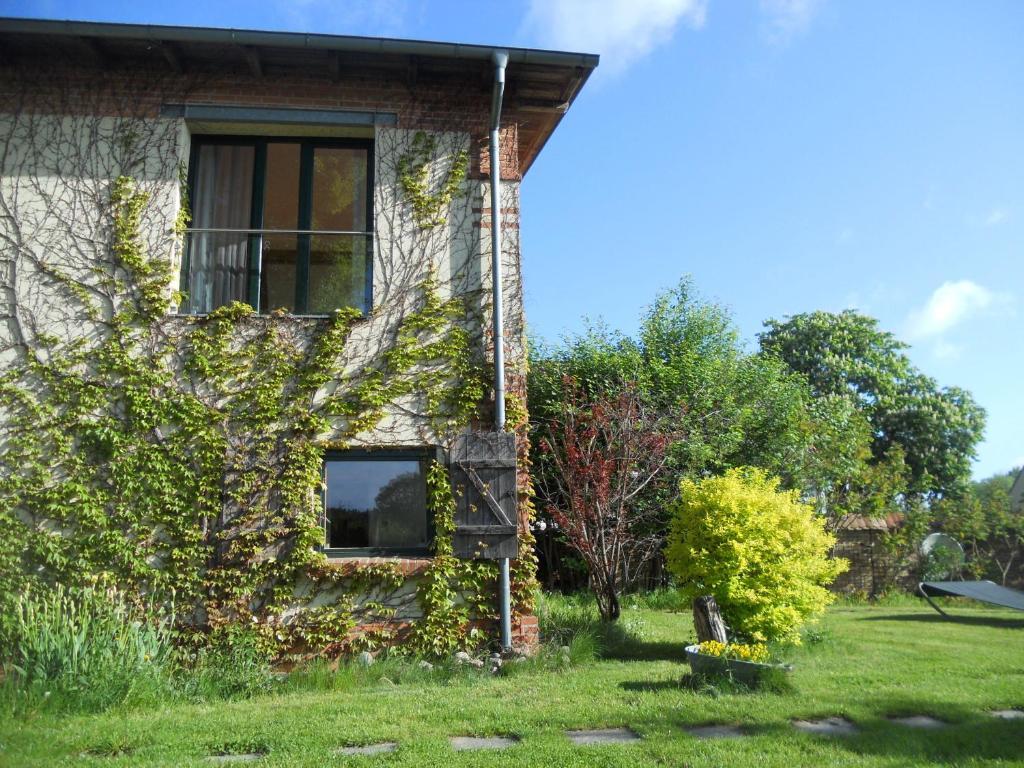 una casa con hiedra creciendo a su lado en Haus am See in Kleinzerlang, en Kleinzerlang