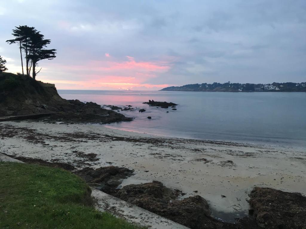 una spiaggia con una palma e l'oceano di COTTAGE des RIAS 2 chambres d'hôtes ou 1 suite à 172 m de la mer a Kerfany-les-Pins