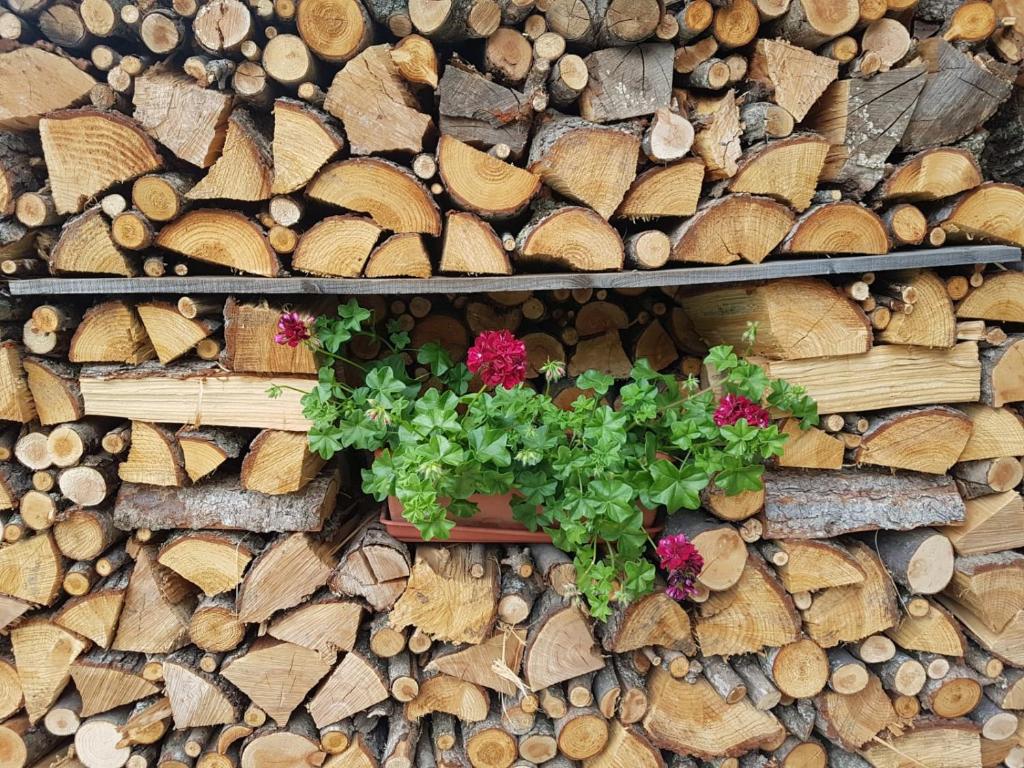 Fotografie z fotogalerie ubytování Agri-b&b Lou Col v destinaci Canosio