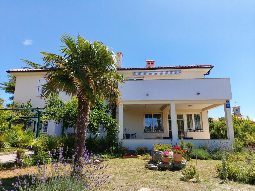 Zahrada ubytování Apartman Danijel