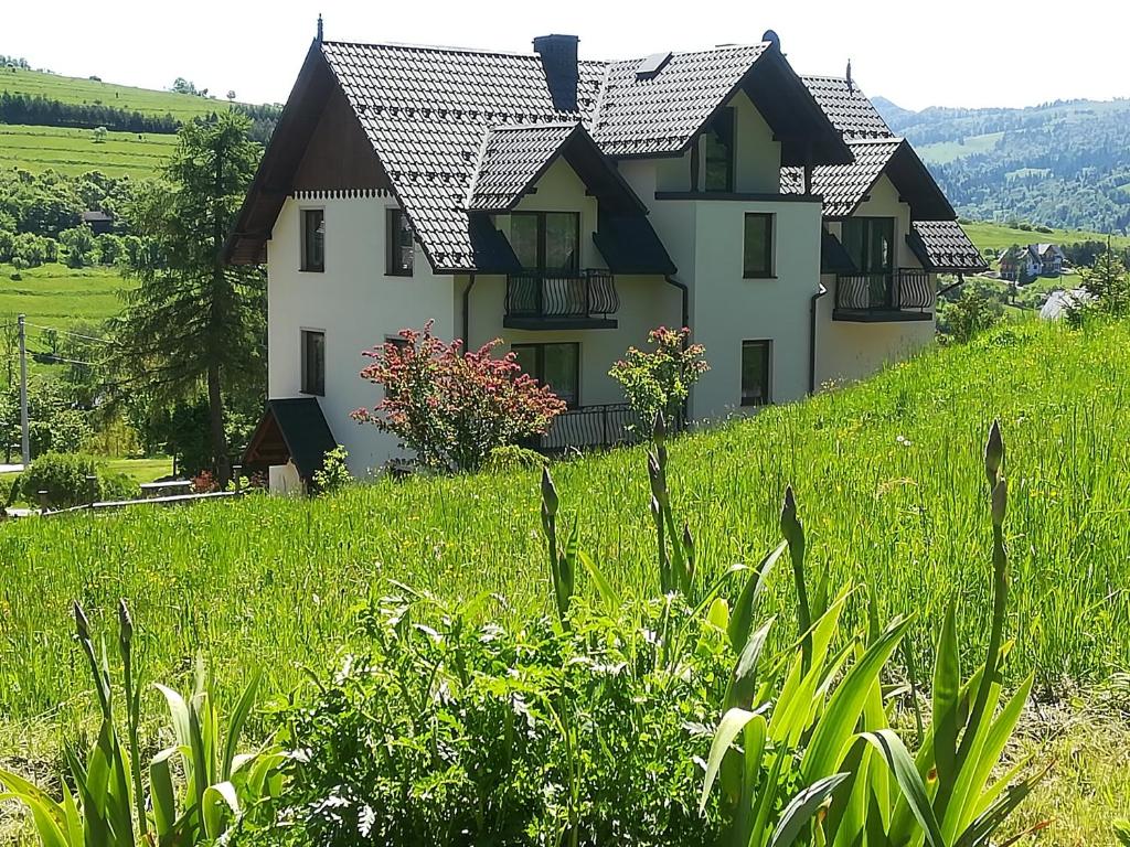 シュツァブニツァにあるWilla Bańkoszówkaの緑地の丘の上の家