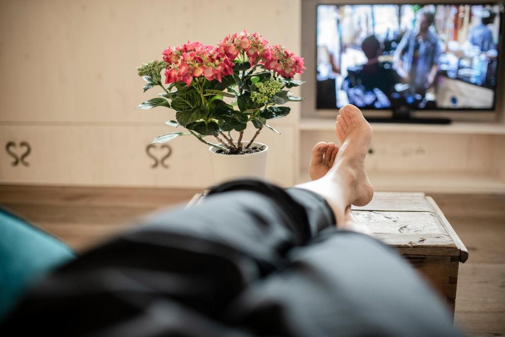 Televízia a/alebo spoločenská miestnosť v ubytovaní Kesslerstadel