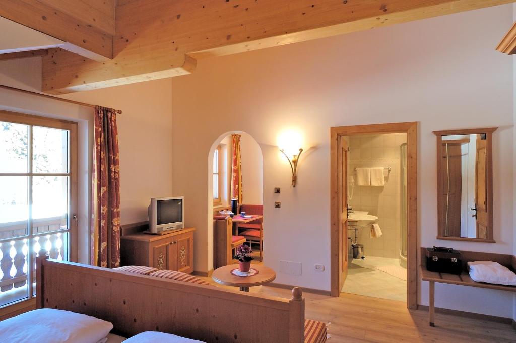 TV a/nebo společenská místnost v ubytování Apartments Hubertushof