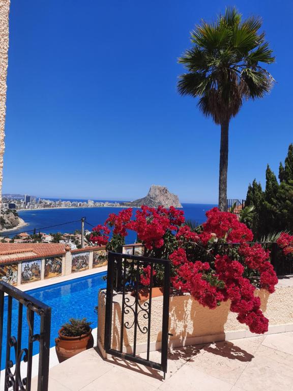 a balcony with flowers and a palm tree and a pool at Maryvilla 42F in Calpe