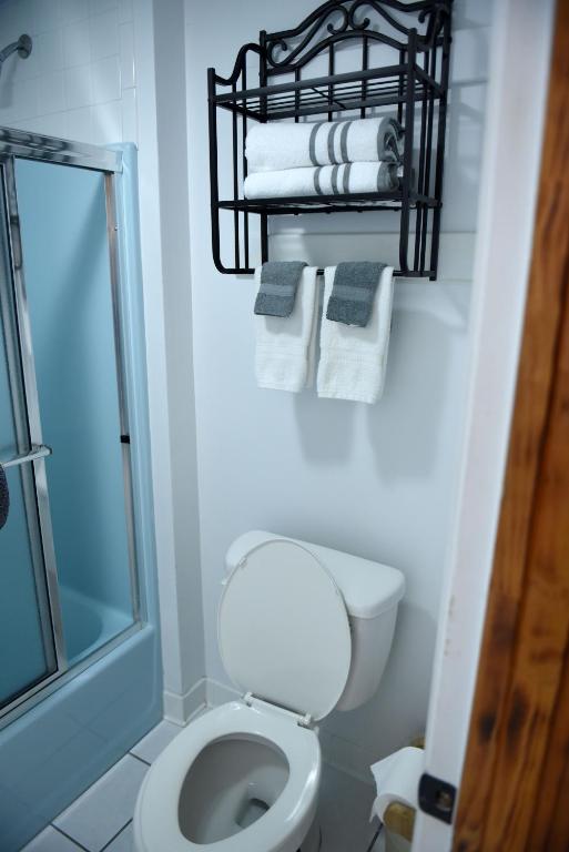 a bathroom with a toilet and a shower and towels at Heidi Motel - Helen in Helen