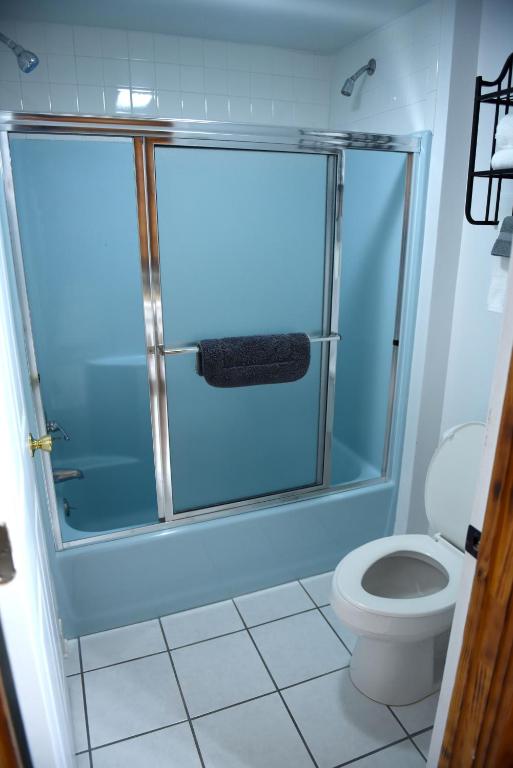 a bathroom with a shower and a toilet at Heidi Motel - Helen in Helen