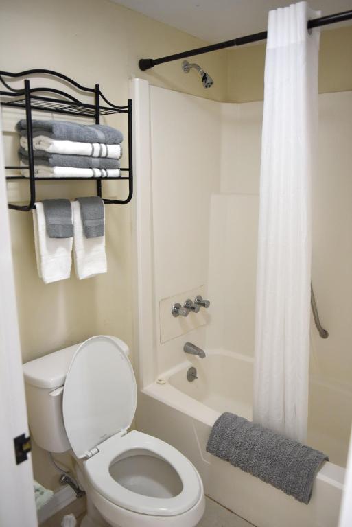 a bathroom with a white toilet and a shower at Heidi Motel - Helen in Helen