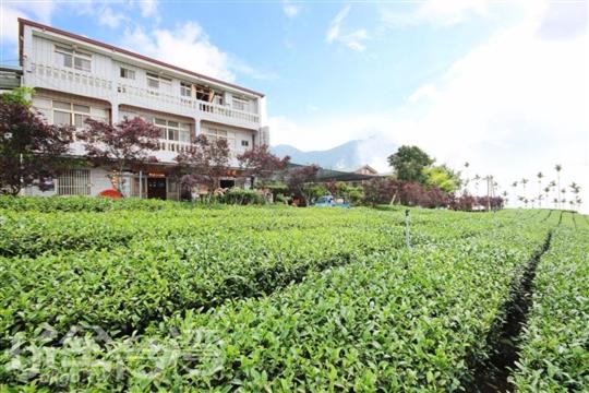 瑞泰茶葉民宿評價、特色體驗、房價資訊、訂房連結 – 清新茶香與溫馨服務 - 照片 1