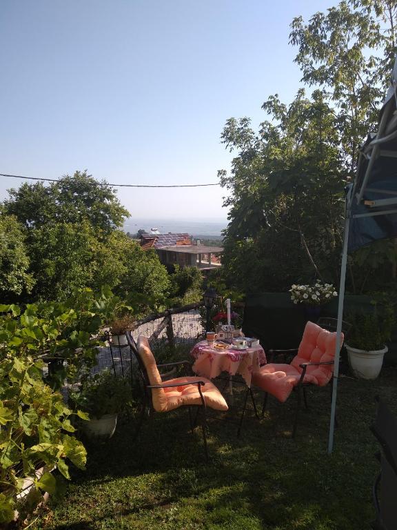 Příroda nedaleko apartmánu