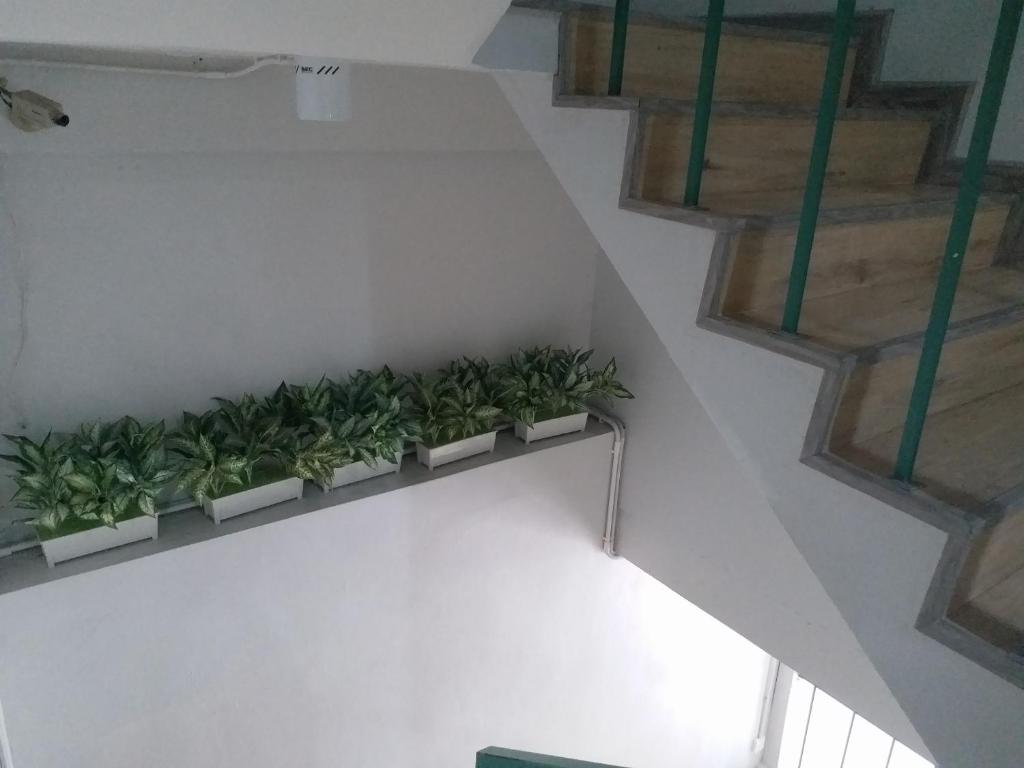 DD Garden Apartment 2 - Resim 33