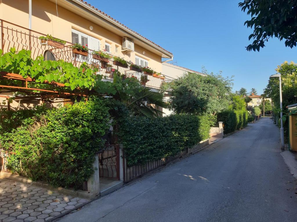 Okolie apartmánu