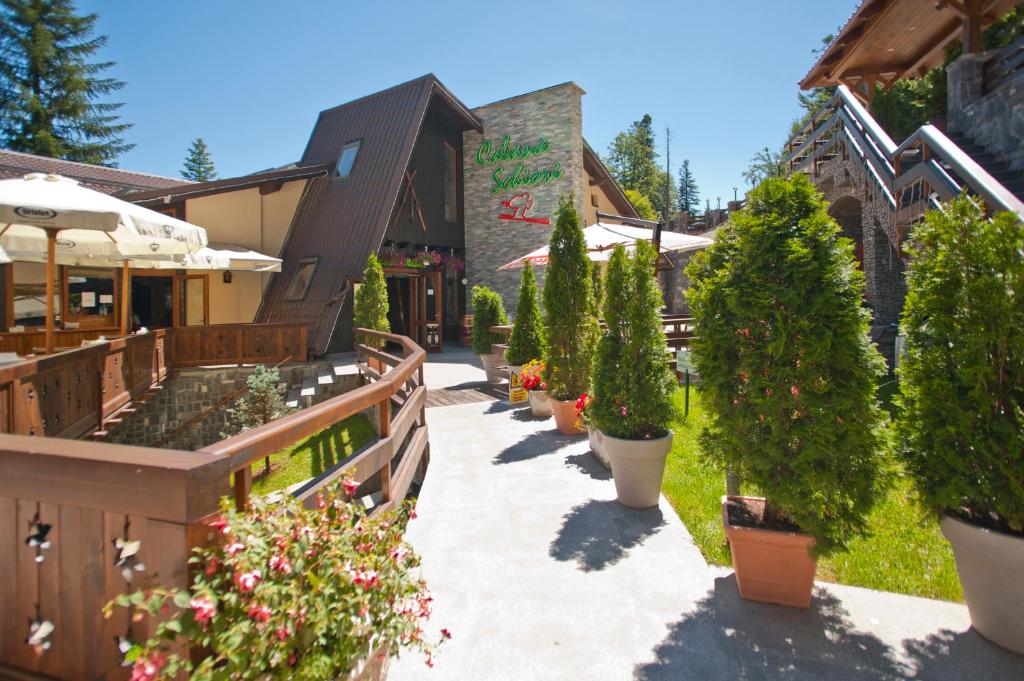 a walkway with potted trees and plants in front of a building at Cabana Schiori in Sinaia