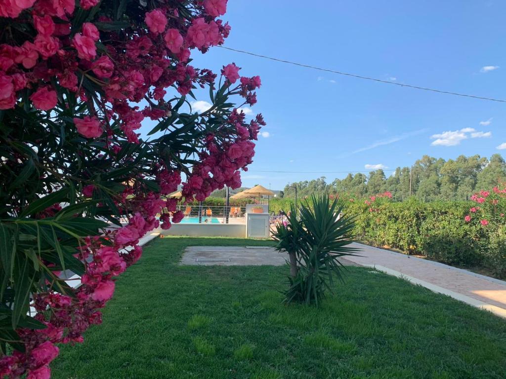 Zahrada ubytování Hotel Letizia
