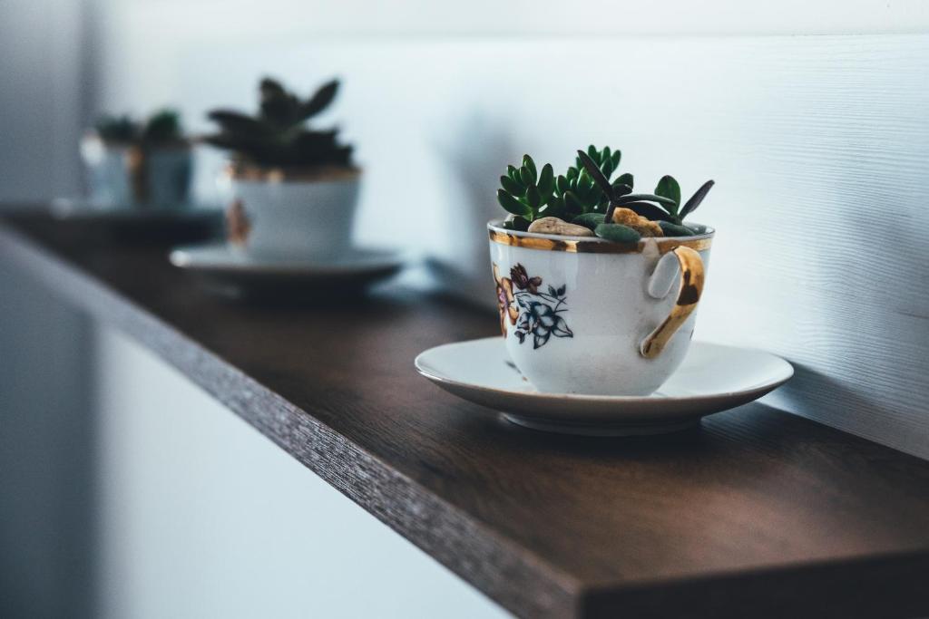 Fotografie z fotogalerie ubytování Apartmány na náměstí v Šumperku