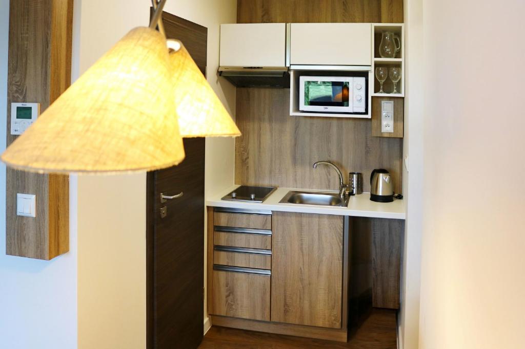 Kuchyň nebo kuchyňský kout v ubytování Residence Šírava ***