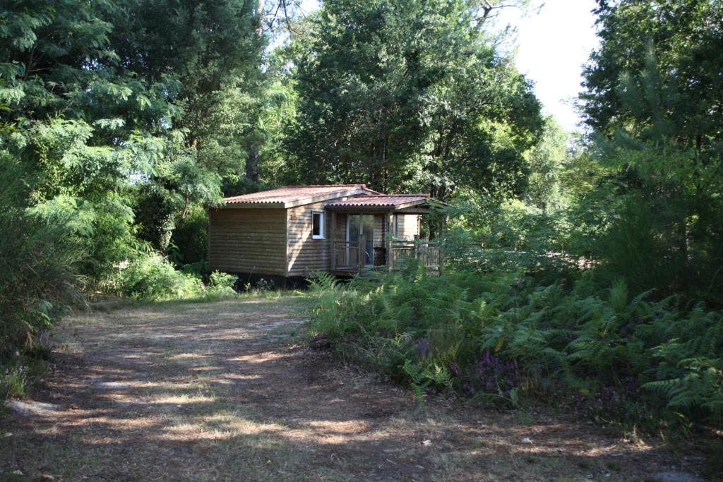 une petite cabane en bois au milieu d'une forêt dans l'établissement LE GAHOUN - Chalet, à Castets