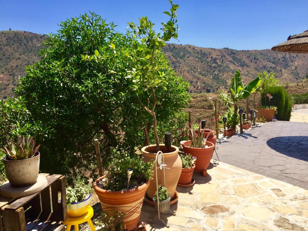Nespecifikovaný výhled na hory nebo výhled na hory při pohledu z bed and breakfast