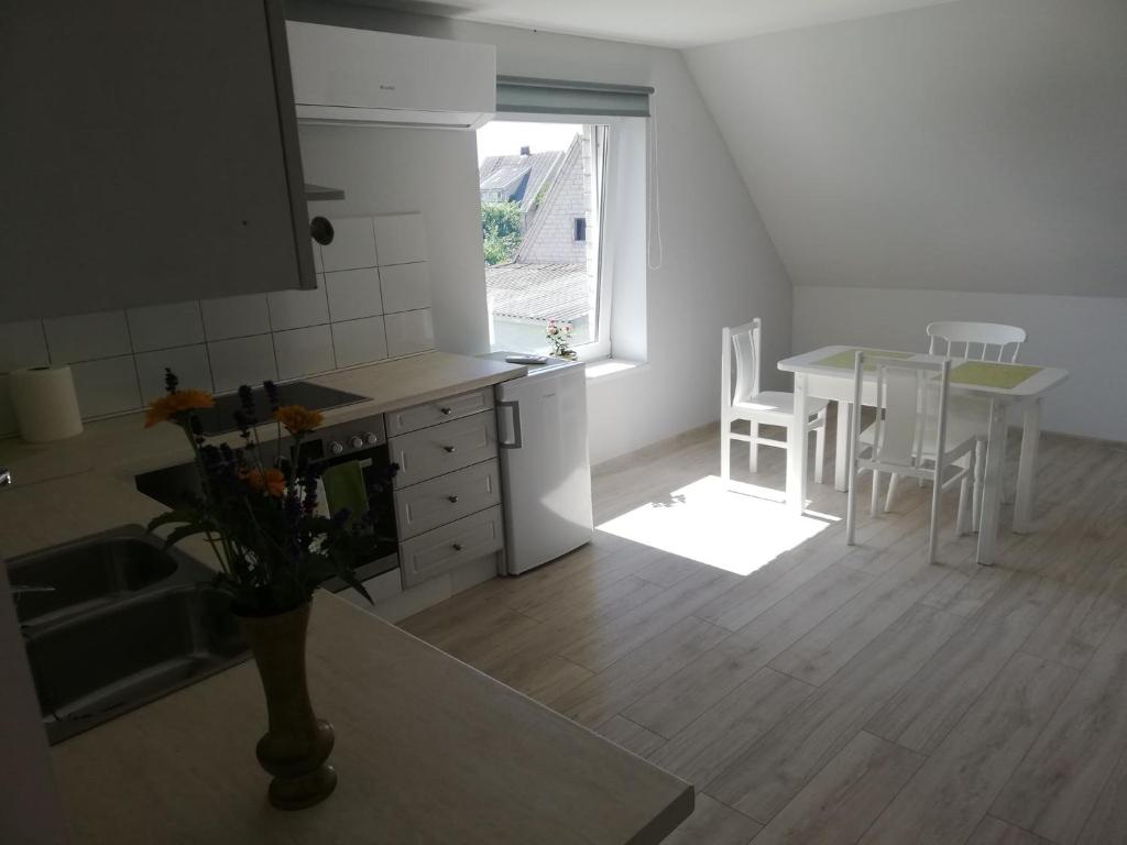 Kuchyň nebo kuchyňský kout v ubytování VĖJO16