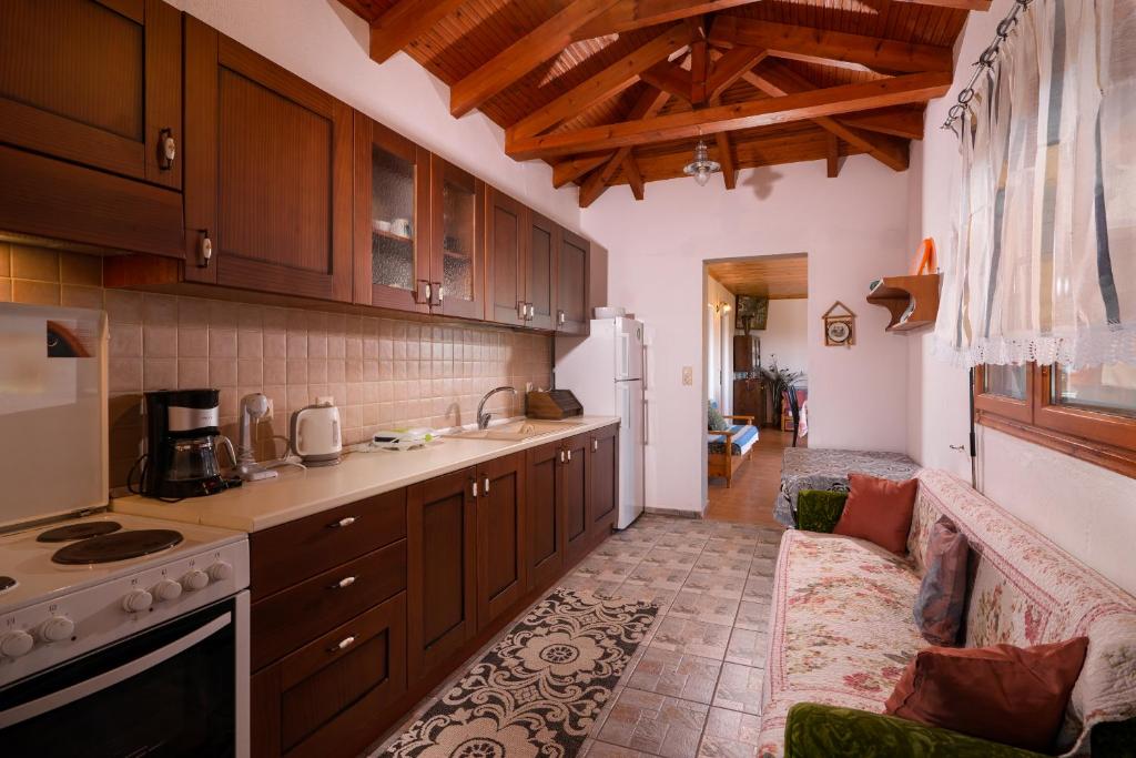 Kuchyň nebo kuchyňský kout v ubytování Archodissa Villa