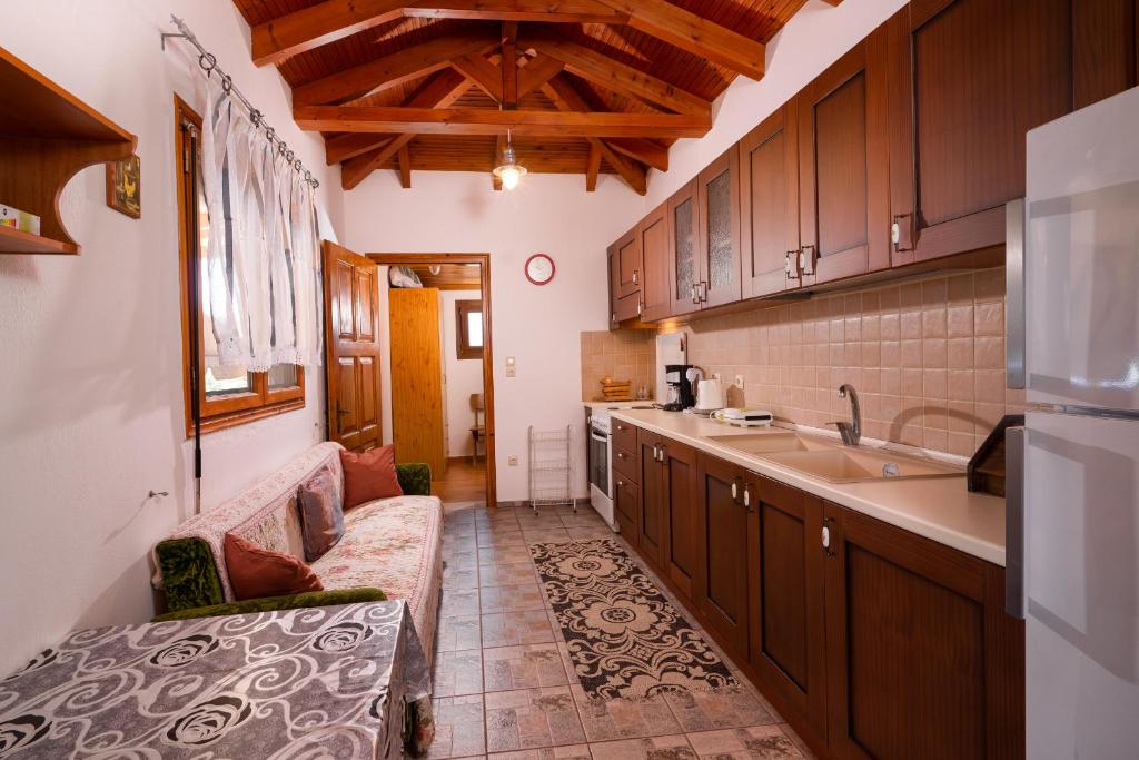 Kuchyň nebo kuchyňský kout v ubytování Archodissa Villa