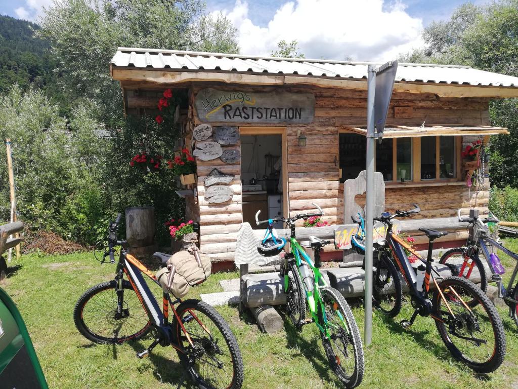 Jízda na kole v ubytování Haus Elvira nebo okolí