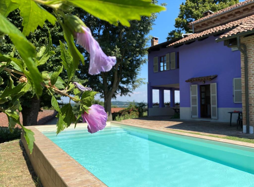 una piscina frente a una casa con flores púrpuras en B&B Locanda dei Tigli, en Serravalle dʼAsti