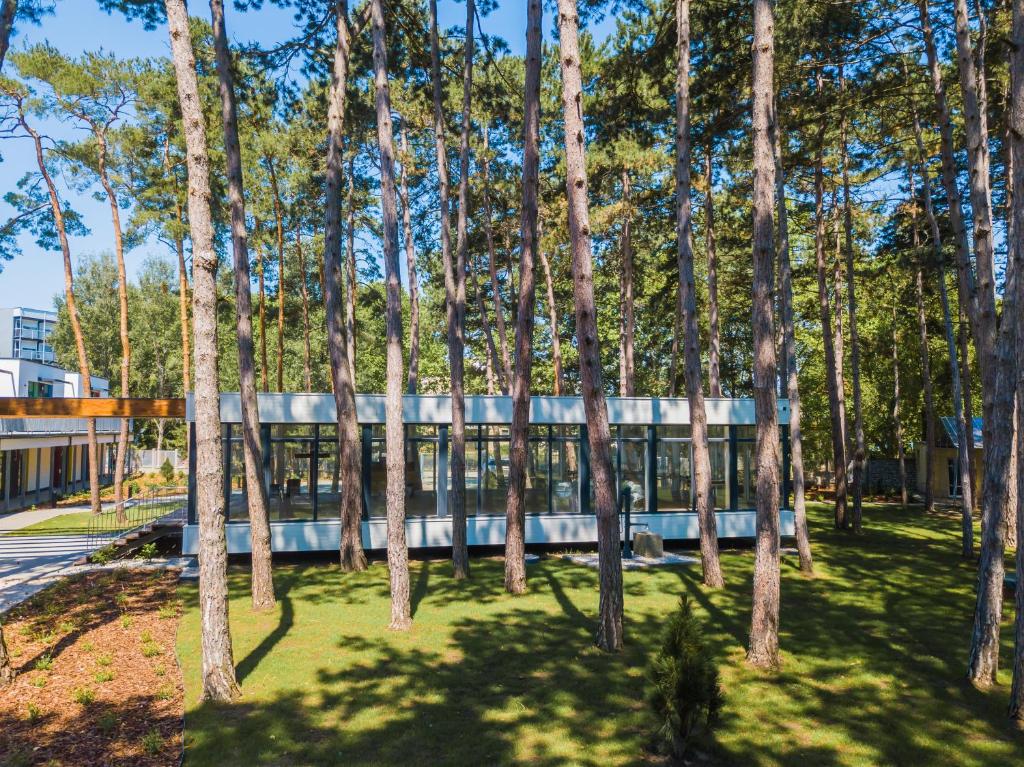 Zahrada ubytování Szent Bernadett Családi Apartmanház