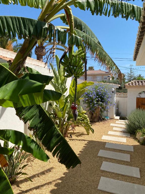 Beach Apartment, Playa Muchavista 900m, Chalet tranquilo ...