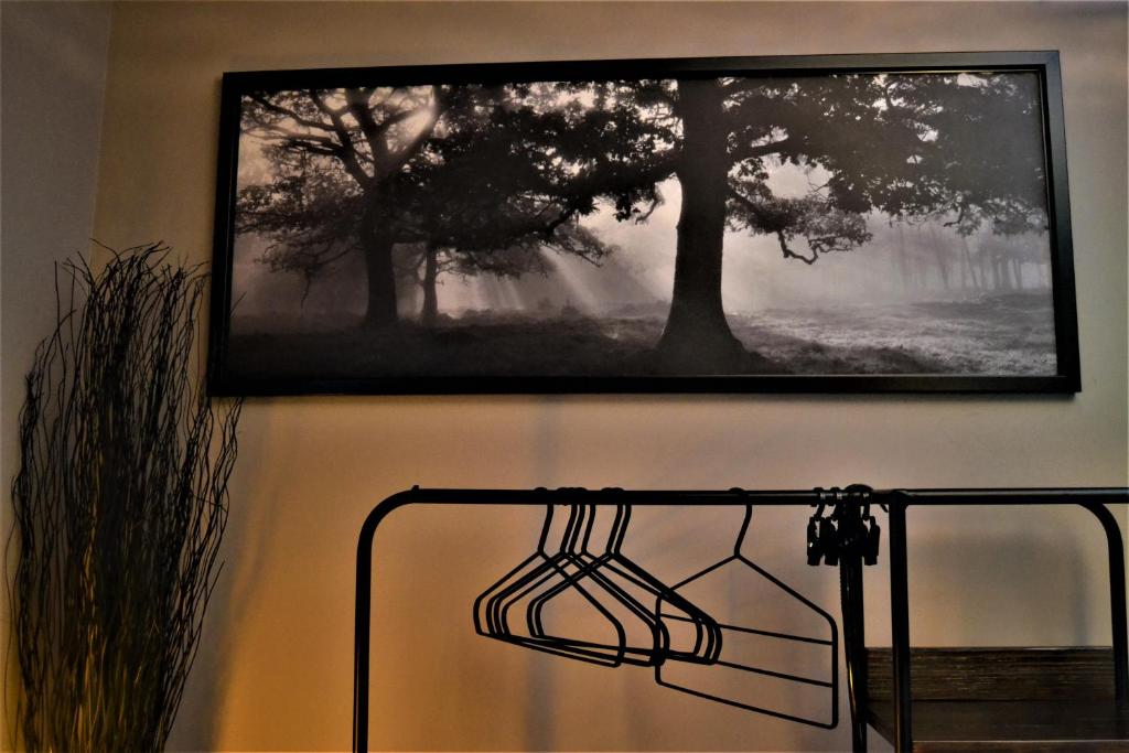 Fotografie z fotogalerie ubytování Triestè59 B&B v Terstu