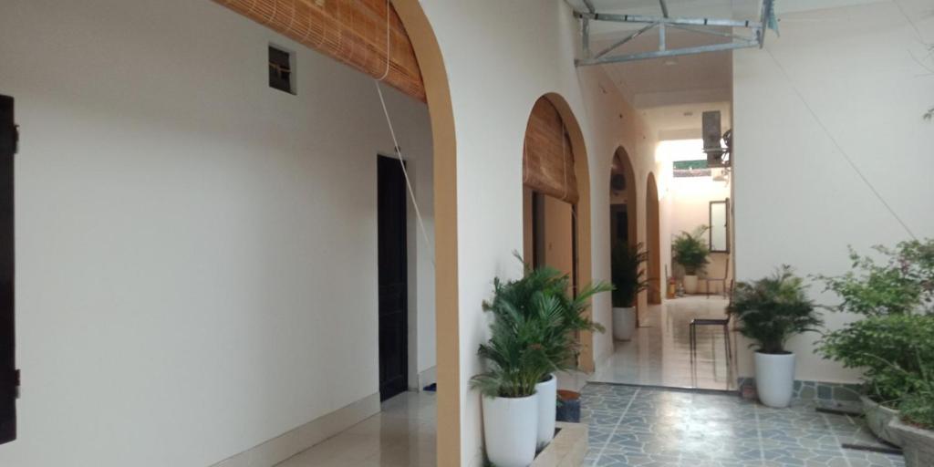 a hallway with potted plants in a building at Bong Mai in Làng Dương