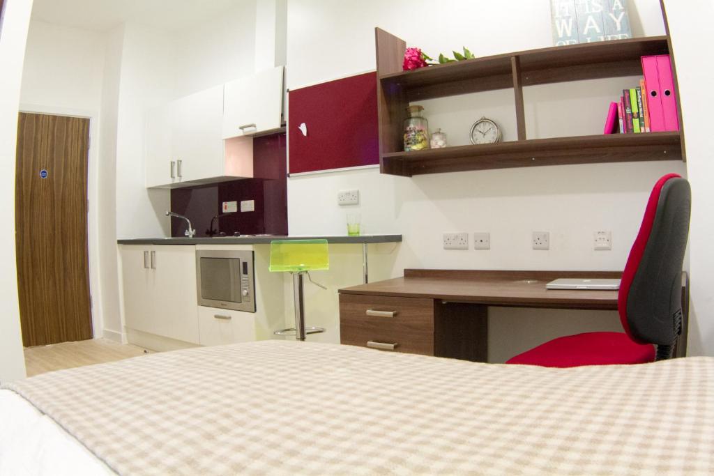 Modern Studios, BANGOR - SK - Housity