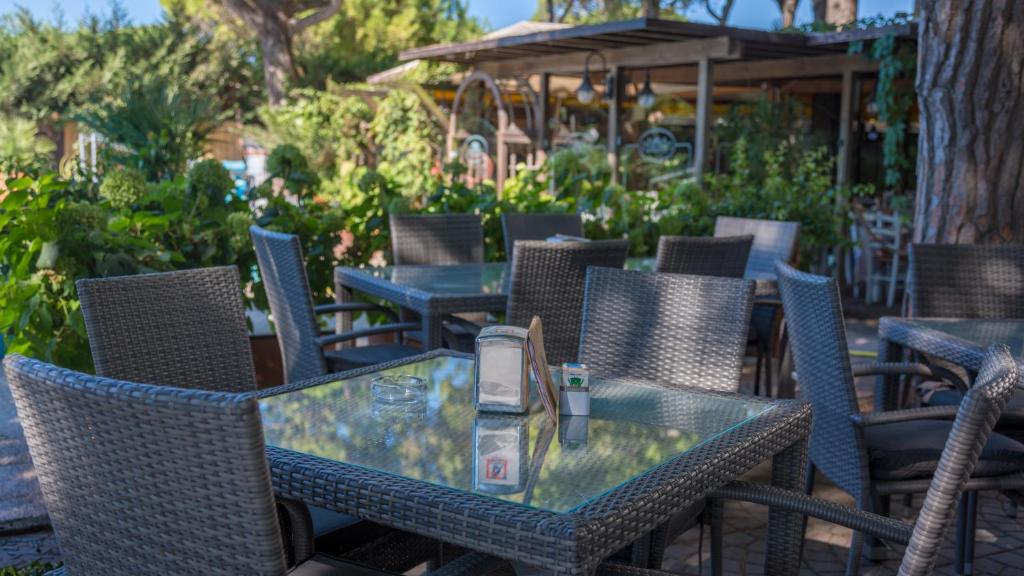Vonkajšia záhrada v ubytovaní Hotel Viña del Mar Pineta